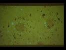 Click Here to Play Video