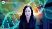 Click Here to Play Video.